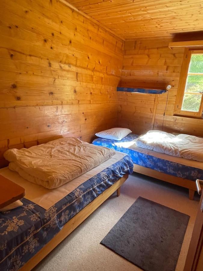 Chalet Singlinaz ジナル エクステリア 写真