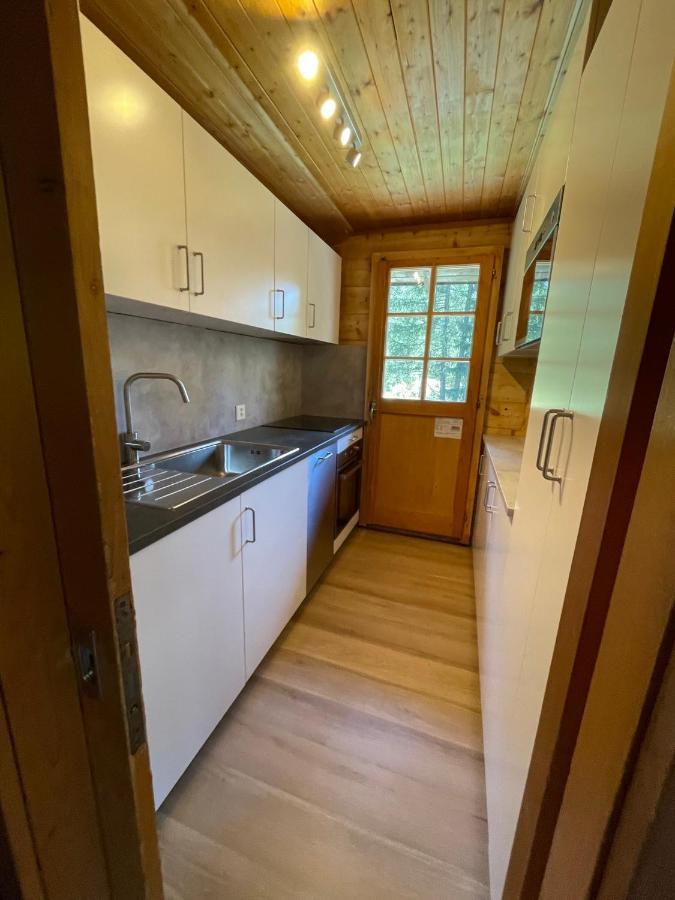 Chalet Singlinaz ジナル エクステリア 写真